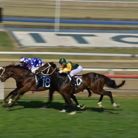 NZ TAB raises racing contribution following betting surge