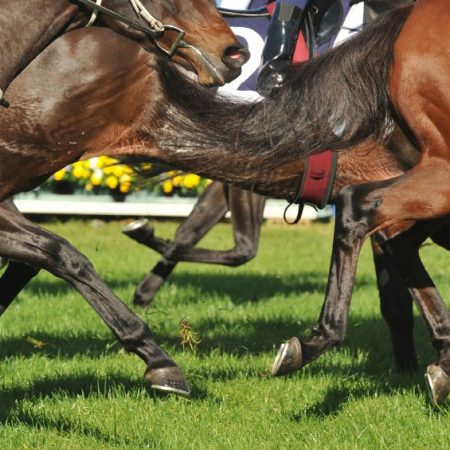 Paf partners BetMakers and ATG to overhaul horse racing product