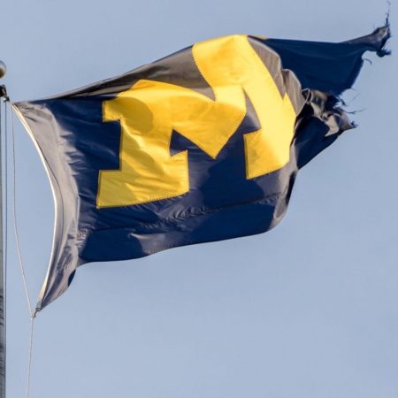 Michigan becomes latest state to set online betting handle record in January