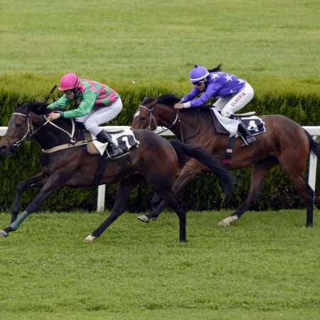 PointsBet pens horse racing betting deal with 1/ST Technology
