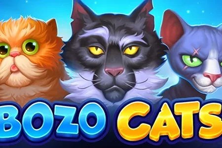 Bozo Cats by Playson