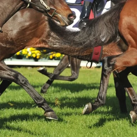Macau Jockey Club to cease operating horse racing from April