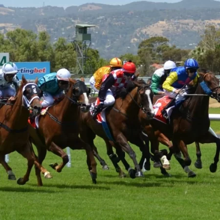 Top horse racing live data companies merge