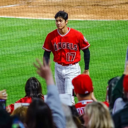 Ex-Ohtani interpreter Mizuhara out on bond in illegal wagering case