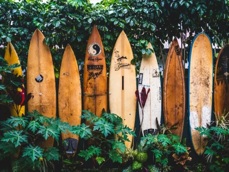 Hawaii senate sends sports betting bill back to house for potential passage