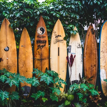 Hawaii senate sends sports betting bill back to house for potential passage